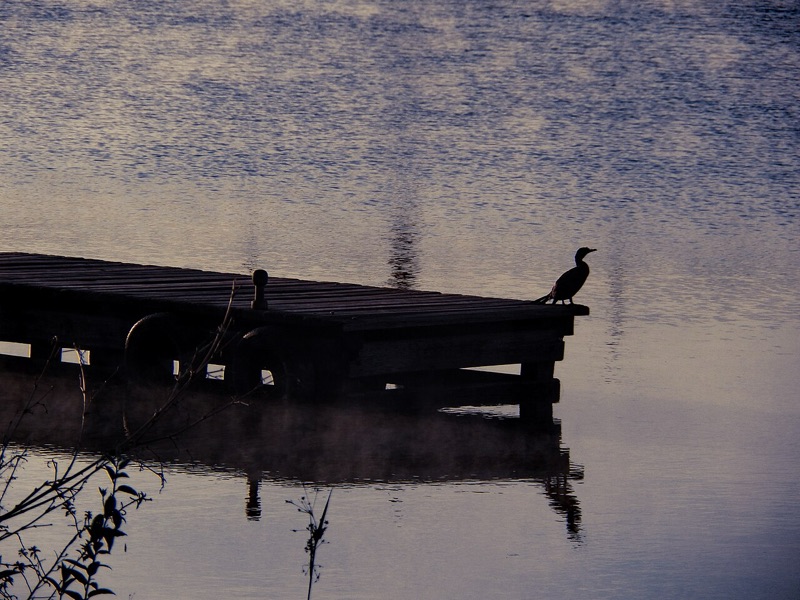 Píer do Parque Vivencial sobre o Lago Paranoá ao entardecer